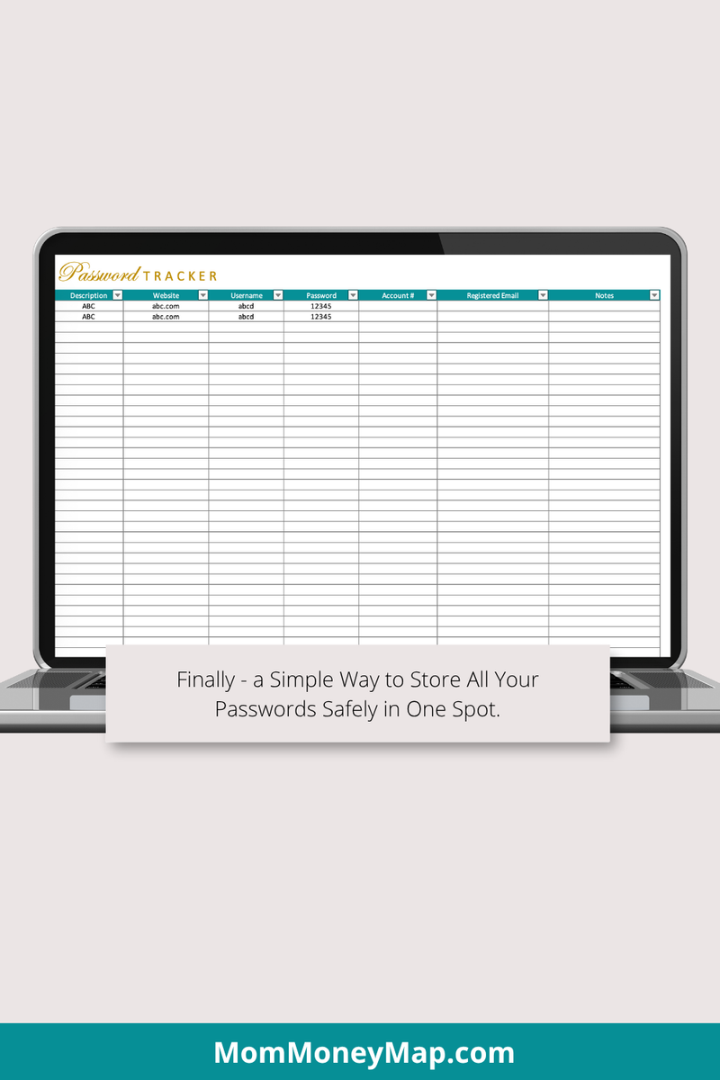 Basic Password Tracker Excel Spreadsheet – Simple Login Log Template ...
